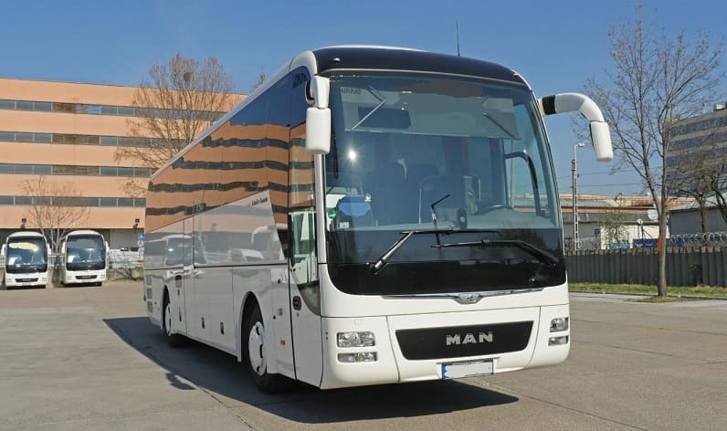 Southeast Slovenia: Buses operator in Novo Mesto in Novo Mesto and Slovenia